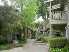 $900 / 1br - 1/1 Move in Ready - Near Nature Trail to Google 1br bedroom