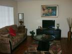 $ / 1br - ★AVAILABLE NOV 1*LUXURY FURNISHED CONDO**ALL BILLS PD**GREAT