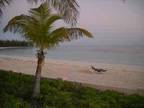 $1300 / 1br - Ocean-front vacation rental in the Bahamas (Island Seas Resort -