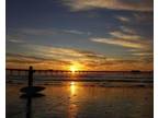 $79 / 3br - 2br - 1br & Studio BEACH HOUSES - San Diego Last Min Specials $79 &