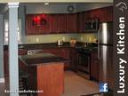 $99 / 2br - 1000ft² - Newly Remodeled Fully Furnished Home