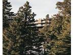 One Bedroom Condo at Lake Tahoe