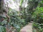 Secluded Tropical Studio Hideaway on 7-acre Coffee/Fruit Estate..