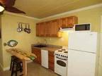 Winter Texan, Remodeled Efficiency, (Port Aransas)