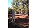 Beautiful Pine Forest RV Park