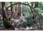 $55 / 1br - Stinson Beach Redwoods INN's Rates Can't be Beat+Muir Woods+Mt