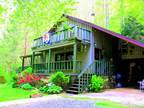 Smoky Mtn. Cabin on rushing trout waters-Robbinsville, NC
