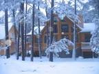 3000ft² - 3 story 3000 ft Chalet (Pinetop)