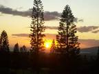 Here Today, Gone to MAUI>Bi-Coastal Sunsets & Crater View Eco-Friendly