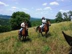 Farm Retreat - Horseback riding (Near Nashville)