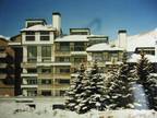 Beautiful 2br ski condo, great views, fireplace