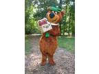 Come hang out with Yogi Bear and his Friends