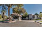 5225 N 24th St #105 Phoenix, AZ 85016