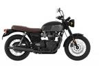 2022 Triumph Bonneville T120 Black Matte Black/Matte Motorcycle for Sale