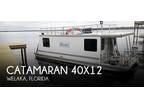 2014 Catamaran 40x12 Boat for 