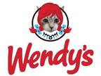 Adopt Wendy a Gray or Blue Domestic Shorthair / Domestic Shorthair / Mixed cat