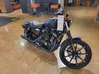 2022 Harley-Davidson XL883N - Iron 883™ Motorcycle for Sale