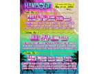1 Hangout Music Festival Ticket With Wrist Band
