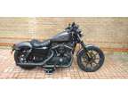 Harley Davidson XL883N Iron.