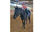 Family Horse Leasing Sweet Mare