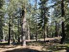 Plot For Sale In Tamarack, California