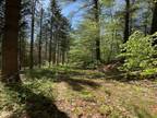 Plot For Sale In Jericho, Vermont