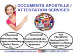 Embassy Documents Apostille in 24 working hours in India