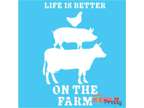 Life is Better on The Farm Stencil Chicken Pig Cow Barn
