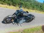 Harley Davidson sportster xl custom 1200