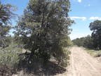 New Mexico Land for Sale, 4.69 Acres near Ramah