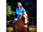 Total Beginner Safe Trail Horse Young or Old Can Ride Her