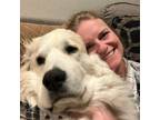 Veterinarian from CO looking to trade pet/housesitting while visiting for a