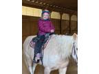 Adopt Luna a Palomino Gaited / Rocky Mountain horse in Salisbury, MD (35281115)
