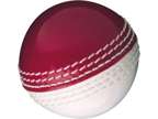 Gunn & Moore GM Cricket Training Ball, Skills Ball
