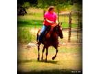 Super Nice Ranch Horse Trails Playdays Horse