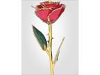 Red Lacquer Gold Dipped Rose