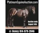ONLINE AUCTION! Place your bids at [url removed] Big Stout