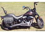 2009 Harley Crossbones