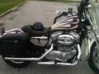 2005 Harley Sportster Xl 883 Low Custom Paint Obo - $4900 (Havertown)