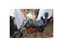 $800 mini harley-looking motorcycles (mopeds)