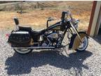 2001 Indian Centennial Chief & Rare Black and Gold