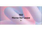 ISO Horse for Lease