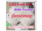 Holland Spain safe delivery bmk powder 5449-12-7