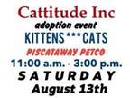 Adopt ADOPTION EVENT - SATURDAY AUGUST 13TH - 11:a.m. to 3:p.m.