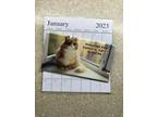 (phone) CAT SUNNY SPOT 2 Year Pocket Calendar planner