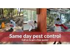 Get expert for pest control melbourne | true pest control