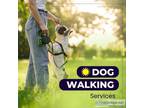 Dog Walking in Faridabad For Reasonable Price - Monkoodog