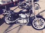 2000 Harley Davidson Sportster 883 For Sale