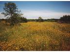 Live Close To Texas Hill Country-12 Acres259k