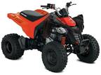 2022 Can-Am DS 250 ATV for Sale